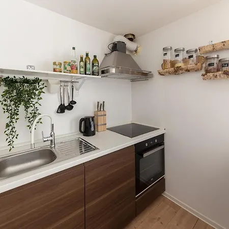 Apartment Rok