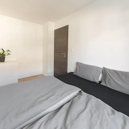 Apartment Rok *