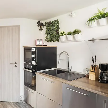 Rok Apartment