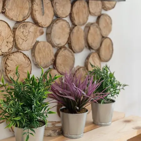 Rok Apartman Ljubljana