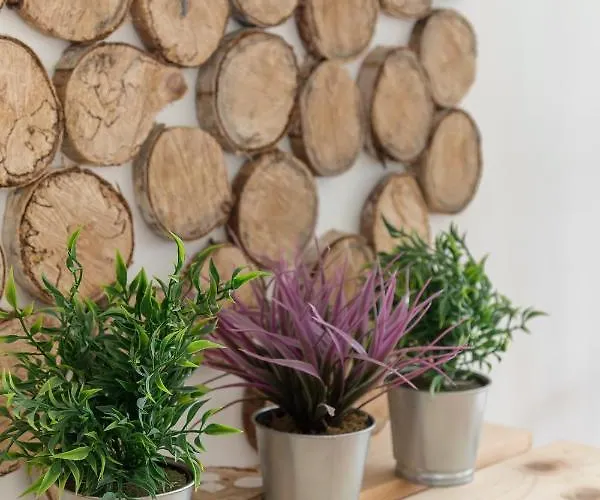 Rok Apartament Lublana